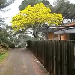 Aqui Siem Ben Сет