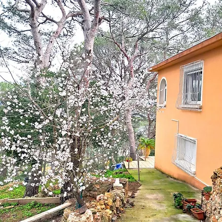 Apartment Aqui Siem Ben *